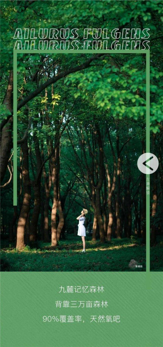 这是灰指甲吗？游戏画面